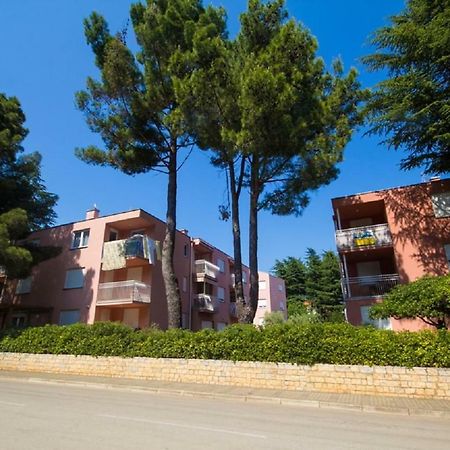Roza Apartment Novigrad  Bagian luar foto